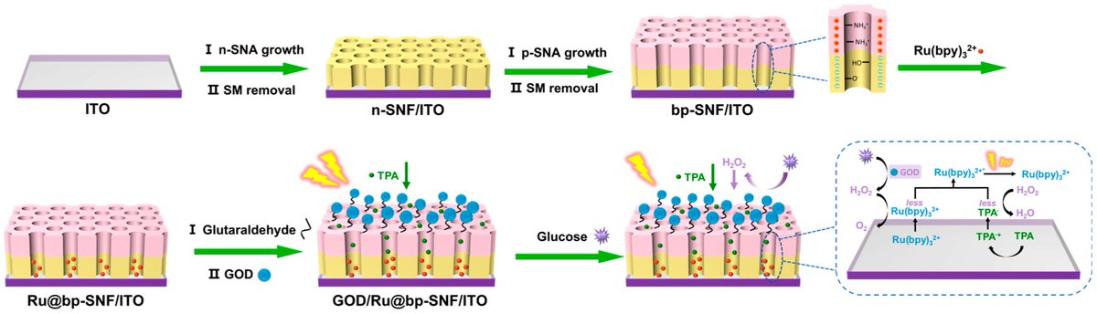 Biosensors_MDPI's tweet photo. 📣Call for Reading:
#Article
Enzyme-Based Solid-Phase Electrochemiluminescence Sensors with Stable, Anchored Emitters for Sensitive Glucose Detection
by Chunyin Wei et al.
https://t.co/nkiAHt57IZ
#EnzymeBased #ECL #GlucoseDetection #immobilized
#biosensors #mdpi #openaccess https://t.co/NGnSenu7Oz
