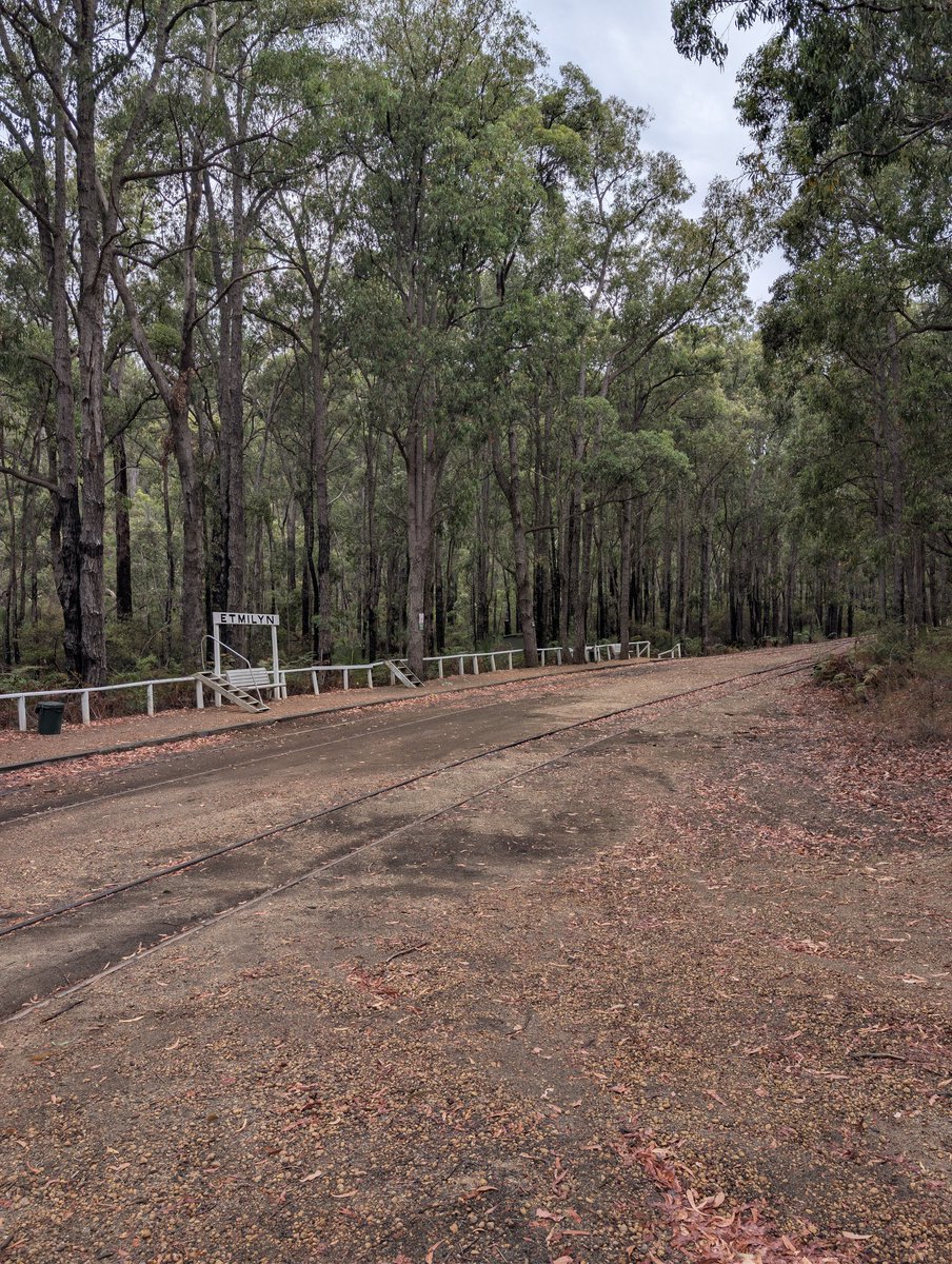 Ryleyyy 🦴 ✨➡️WAFF26 tweet media