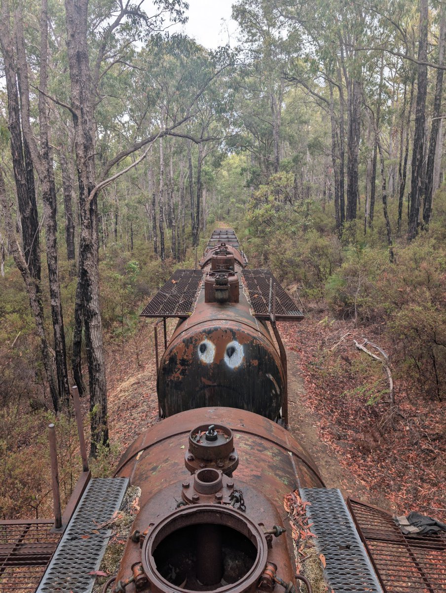 Ryleyyy 🦴 ✨➡️WAFF26 tweet media