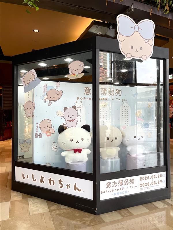 すーちゃんさん専用 いしよわちゃんの 台湾でのPOP-UP SHOPが スタートしました🐶🦴 詳しく