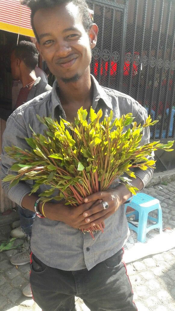 kemb0y's tweet photo. @Tl_VC33 @DrWhiteW @SomoinaKapeen https://t.co/uKa9jHmXbg