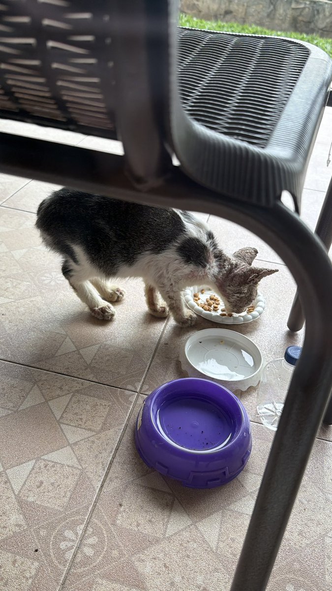 Nastar & Kara tweet media