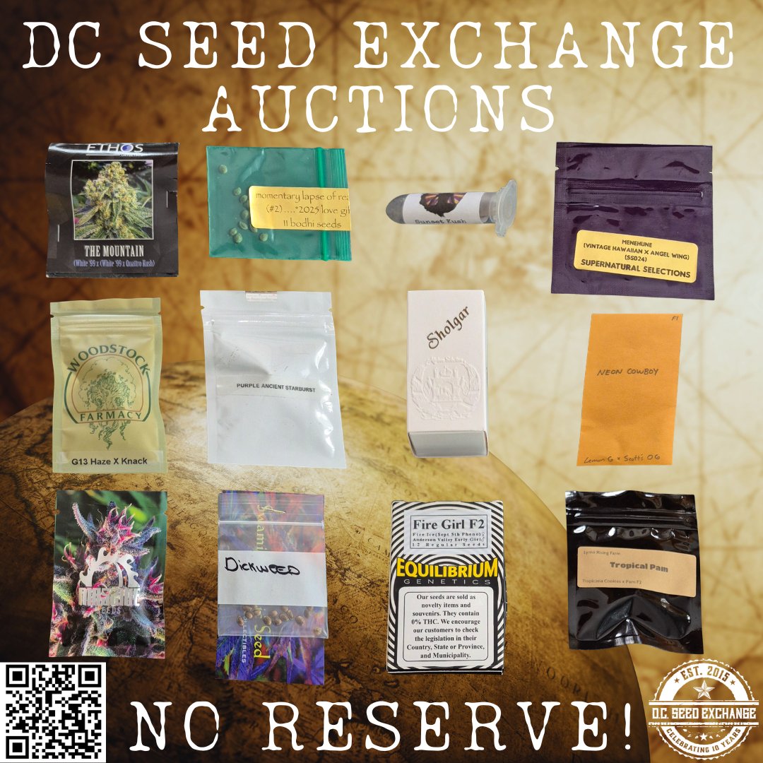 DCSeedExchange's tweet photo. If you like heirloom and landrace genetics, this weekend is for you! 🌎
📲Scan the QR code for more information and to get in on the action!
#seedauction #dcseedexchange #heirloom #landrace #EthosGenetics #bodhiSeeds #SwamiSeeds #equilibriumgenetics #rareseeds https://t.co/7BXvtkO1e5