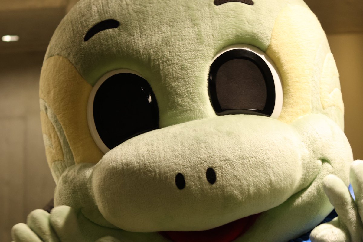 GamePhoto📸 【番外編】

可愛い写真が見つかりました🐢

試合当日には、#う〜まくん コラボグッズも販売していただきました✨

これからもう〜まくんと仲良くしてください🙇🏻‍♂️

<a href="/12neetan/">ニータン（ほんもの）</a>  #ニータン

#レイラック滋賀