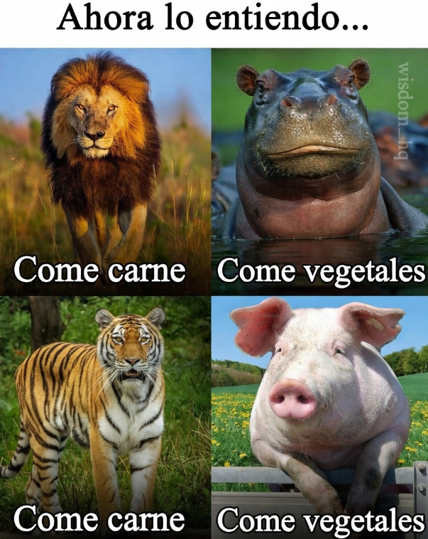 ¿Soy el único que piensa esto? 👀