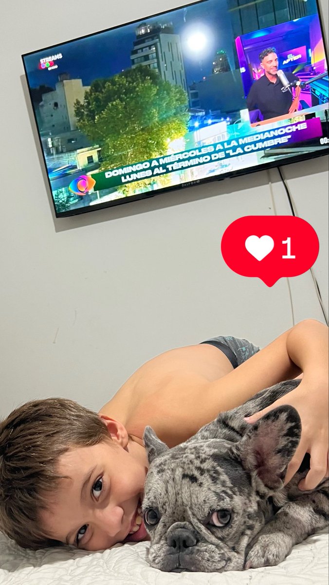 CarolinaSemmere's tweet photo. @poggi Es Pedro y un bulldog francés q se llama Layka❤️💫 #ElAfter besotes https://t.co/GM5K9vbXPr
