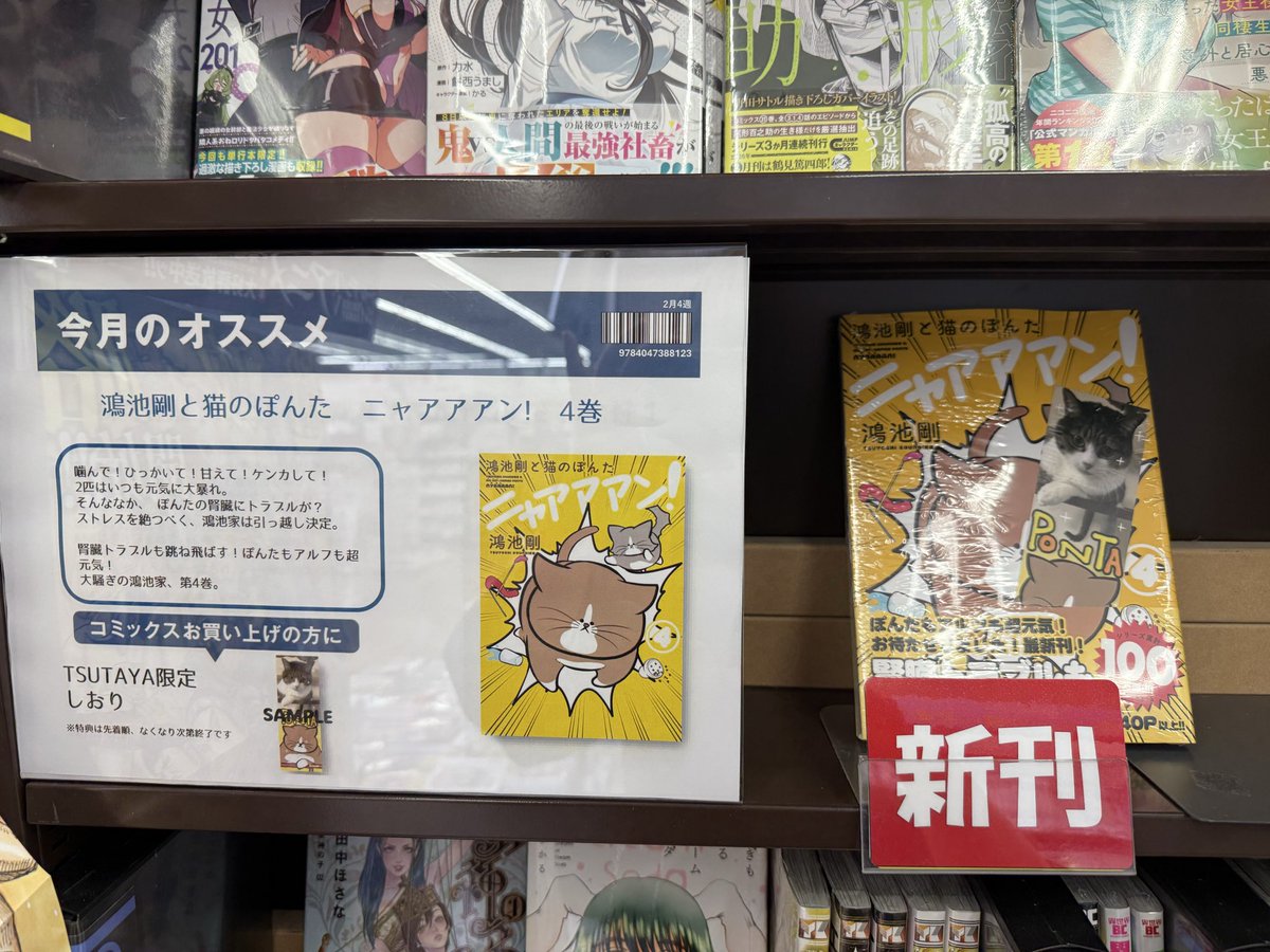 BOOKからのお知らせ】 本日発売❣️TSUTAYA限定特典❣️ 『#鴻池剛と猫