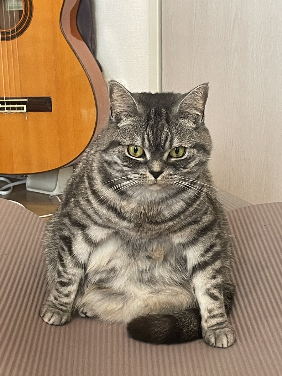 お相撲さん？