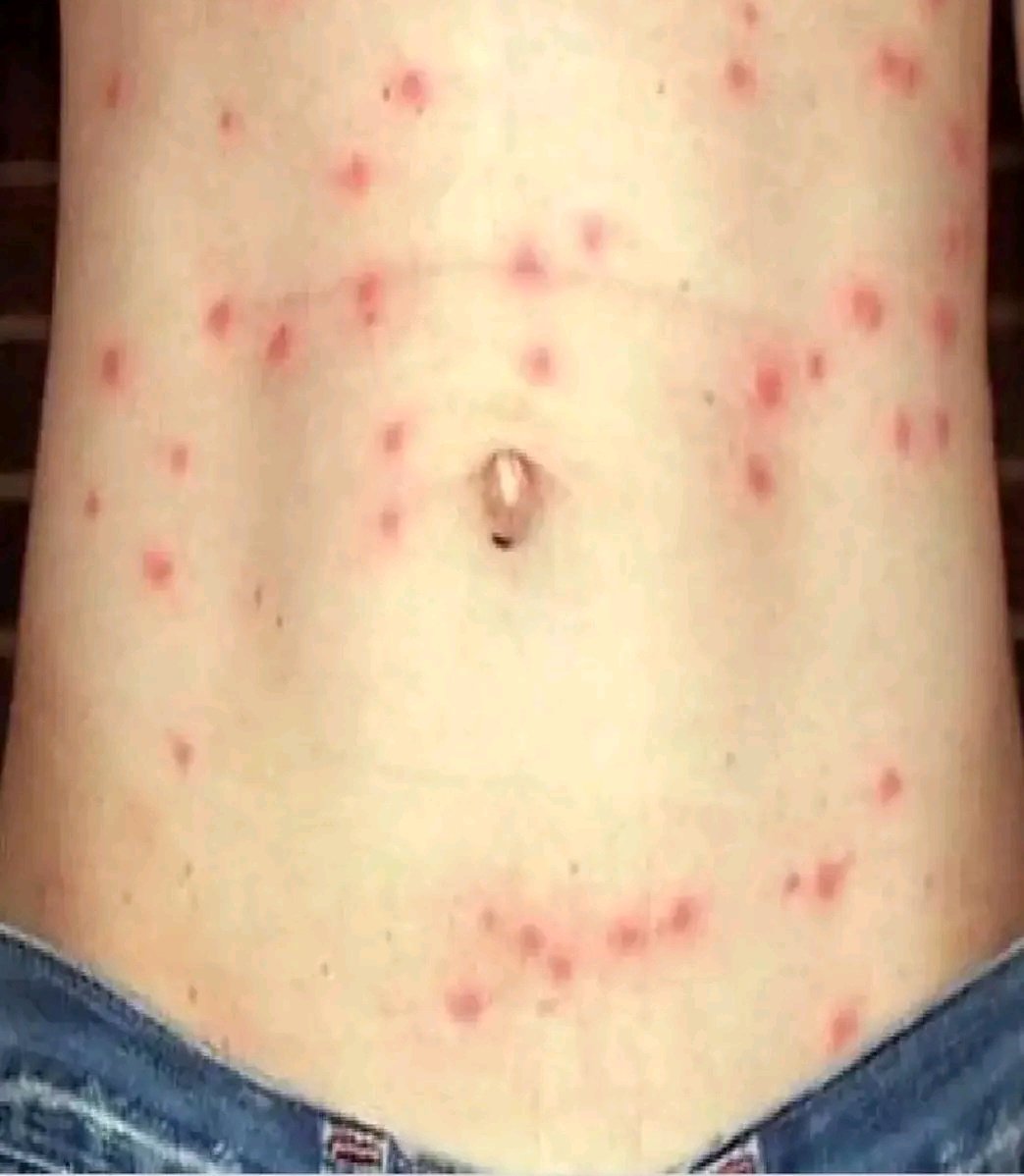 MEDICINE MADNESS tweet media