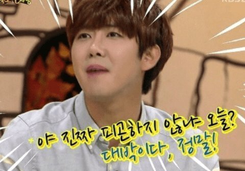쑤쑤 tweet media
