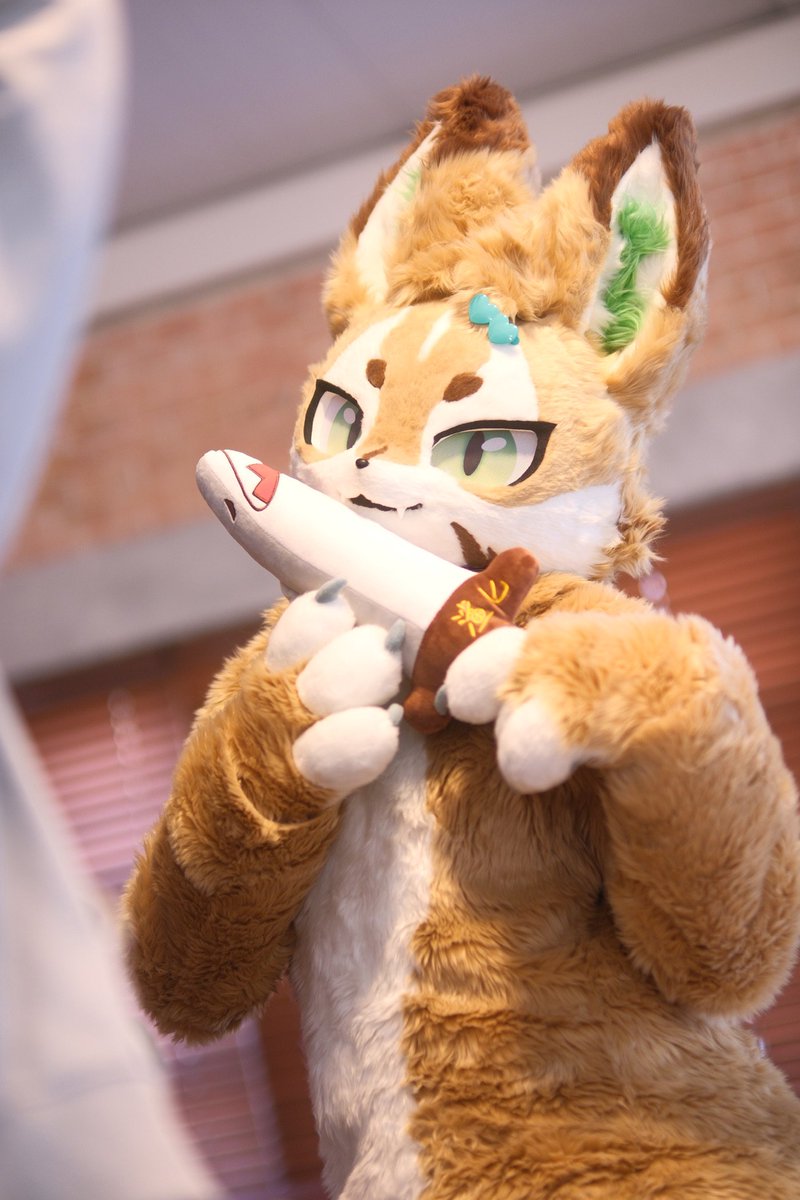 개인 사정으로 오트를 저보다 더 잘 키워주실 수 있는 분께 입양 보내려구 생각 중이에요!

누구한테 보낼까 생각해보다 경매로 올리면 재밌겠다는 이야기가 나와서 진행해볼까 해요!

혹시나 바디 사이즈나 궁금하신 사항이 있으시다면 dm 주시면 말씀드릴게요!

단위 / 만원

시작가- 50

최소