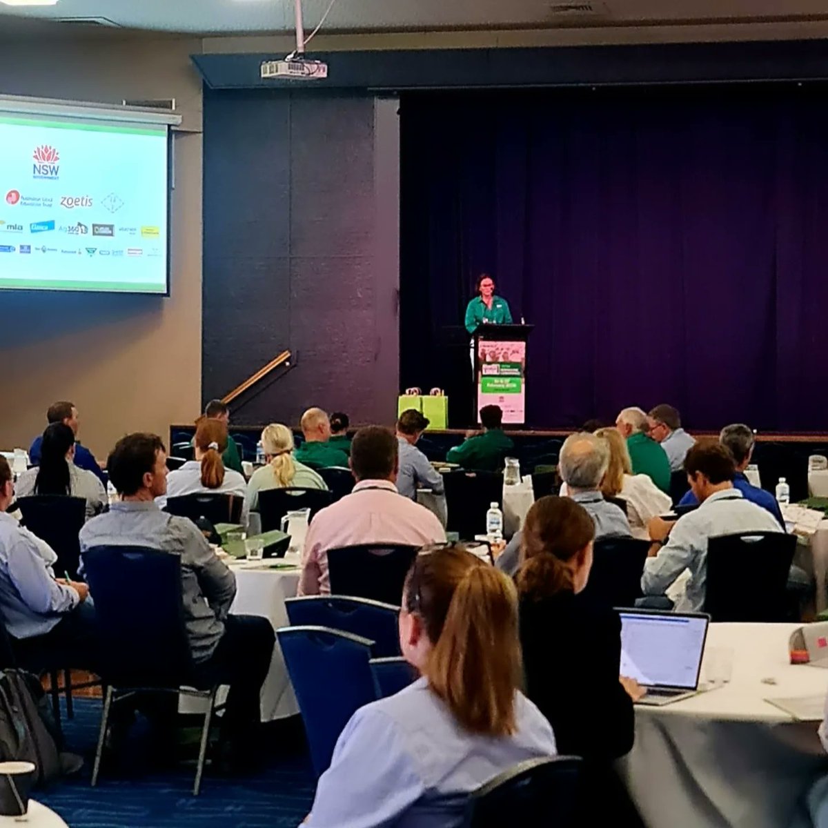 MerinoLink Limited tweet media