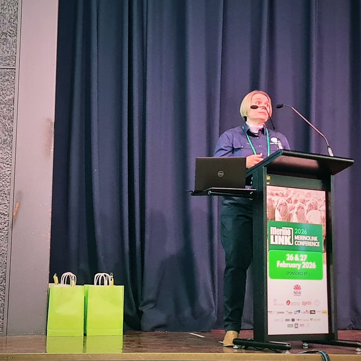 MerinoLink Limited tweet media