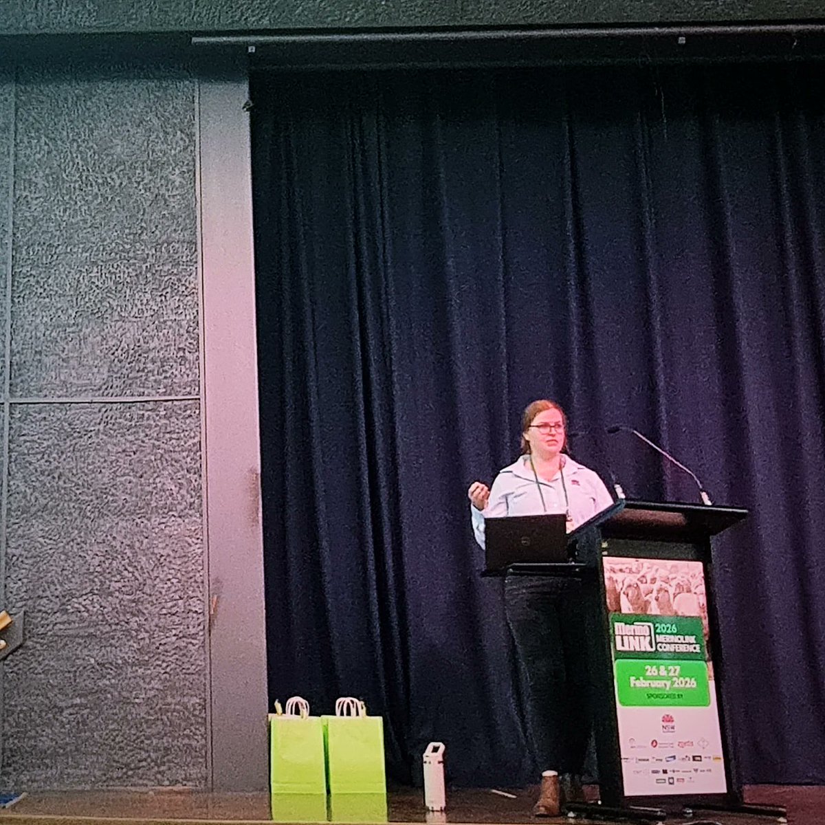 MerinoLink Limited tweet media