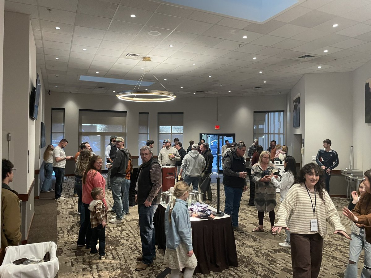 Send Network Montana tweet media