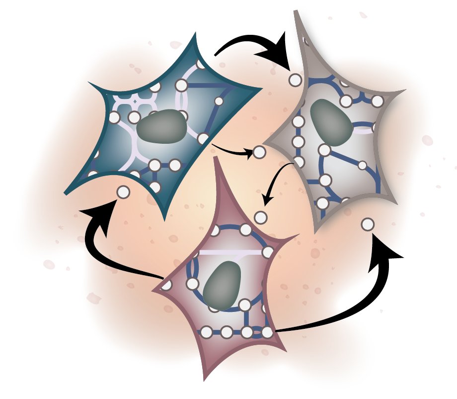 Nathan Lewis tweet media