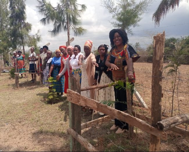 KenyaKALCo's tweet photo. #CountyKALNetworks Women 4 Women Empowerment of Machakos County KAL Network had the Pamoja Widows Group trained on group management &amp; business afterwhich the group checked on their trees which they planted.This spearheads Climate resilience across the County @UNDPKenya https://t.co/G2azx6p7wM