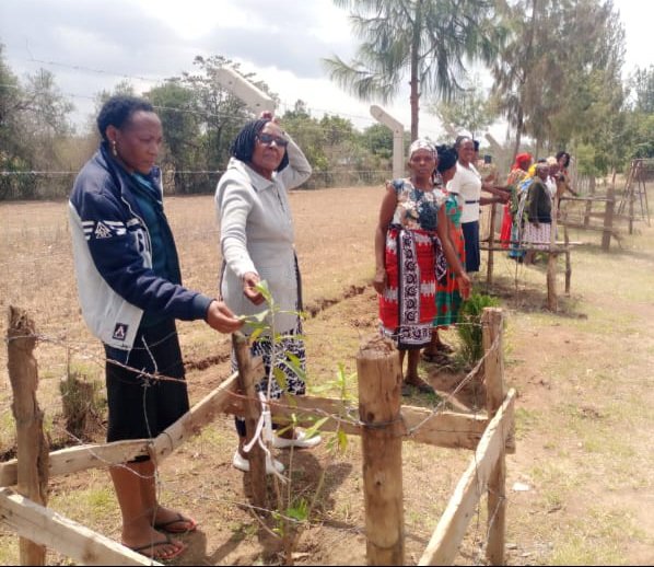 KenyaKALCo's tweet photo. #CountyKALNetworks Women 4 Women Empowerment of Machakos County KAL Network had the Pamoja Widows Group trained on group management &amp; business afterwhich the group checked on their trees which they planted.This spearheads Climate resilience across the County @UNDPKenya https://t.co/G2azx6p7wM