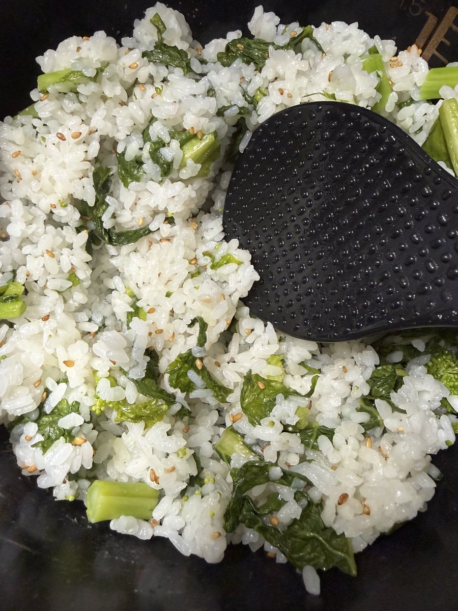 Post by ぴょん🍁 on X: 🍚🌱