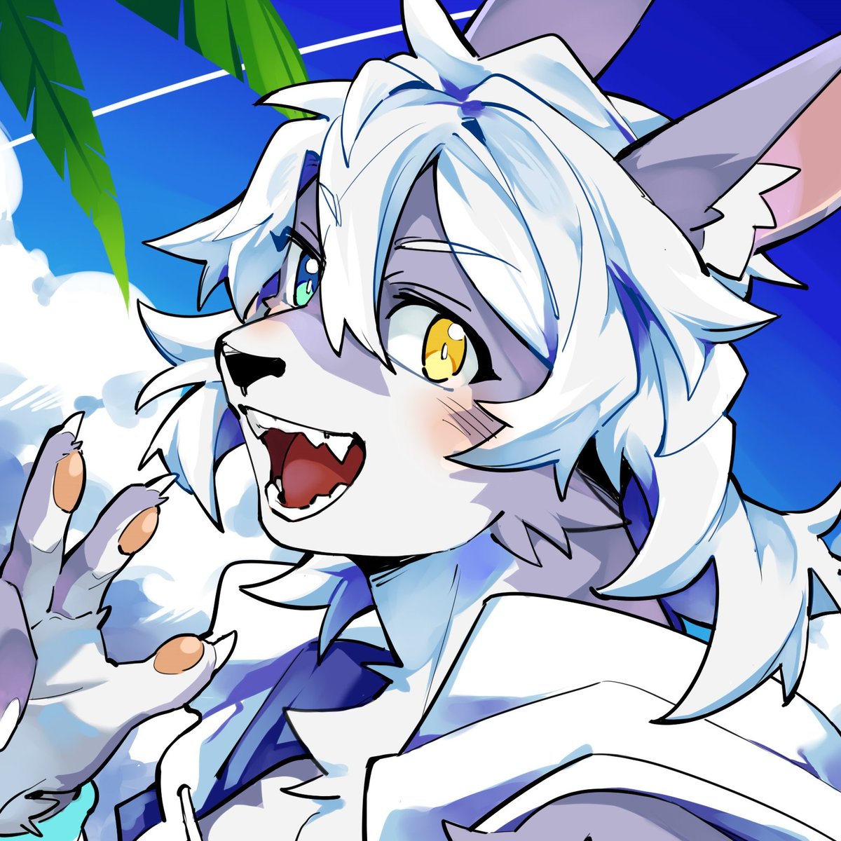 Shoko Contane tweet media