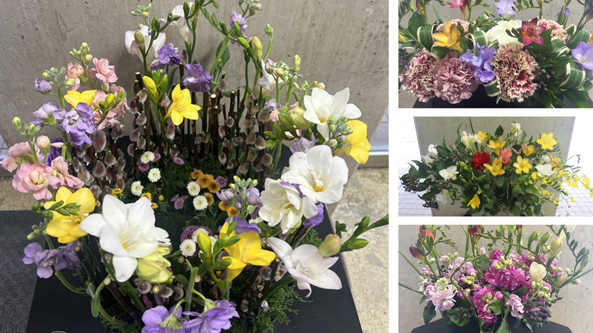 まふすぽ 北陸の花でGREEN×EXPO 2027を応援！ 北陸農政局です。 2月に