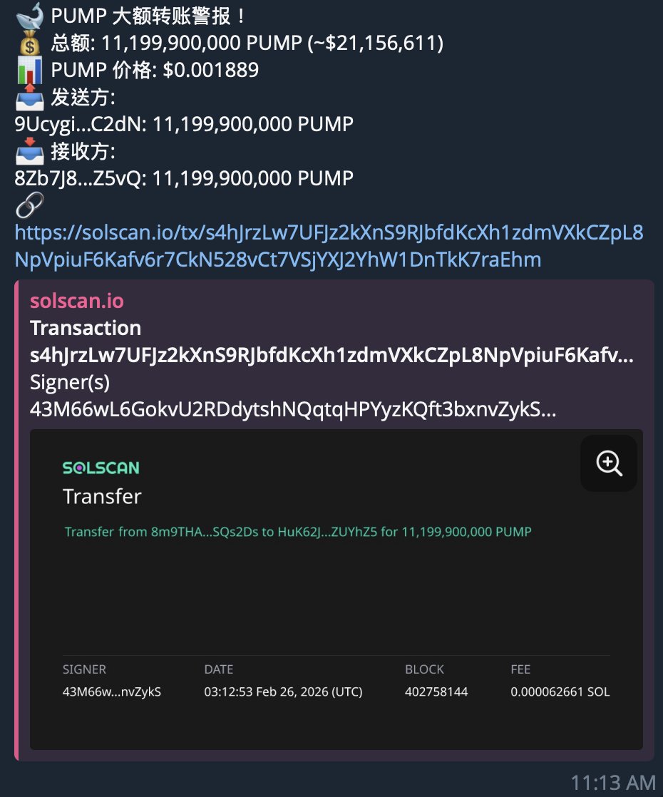 Jace｜海 tweet media