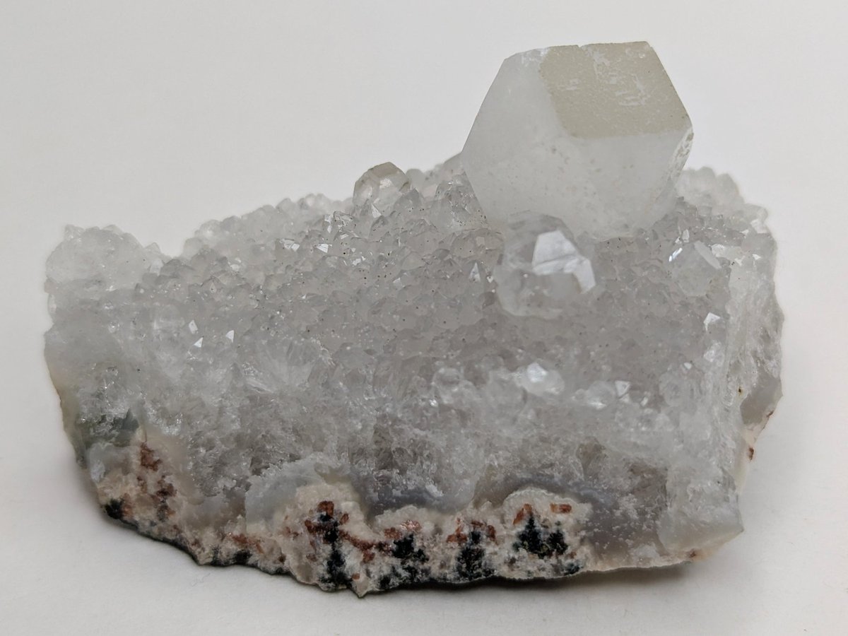 Marsh The Fox tweet media