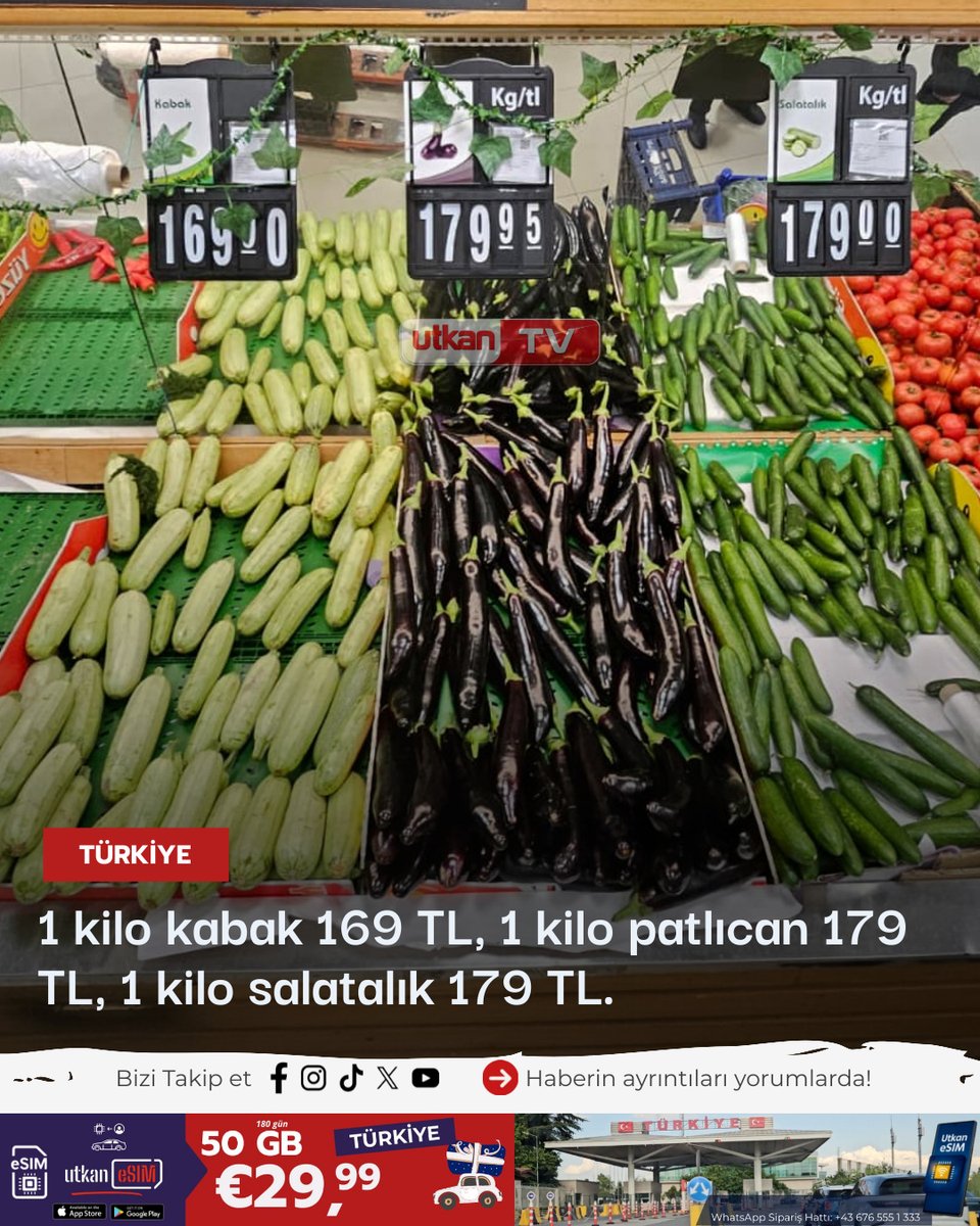 İstanbul’da Sebze Fiyatları Uçtu: Patlıcan 179 TL, Salatalık 180 TL, Kabak 169 TL

#İstanbul #SebzeFiyatları #PazarFiyatları #GıdaZamları #Patlıcan179TL #Salatalık180TL #Kabak169TL