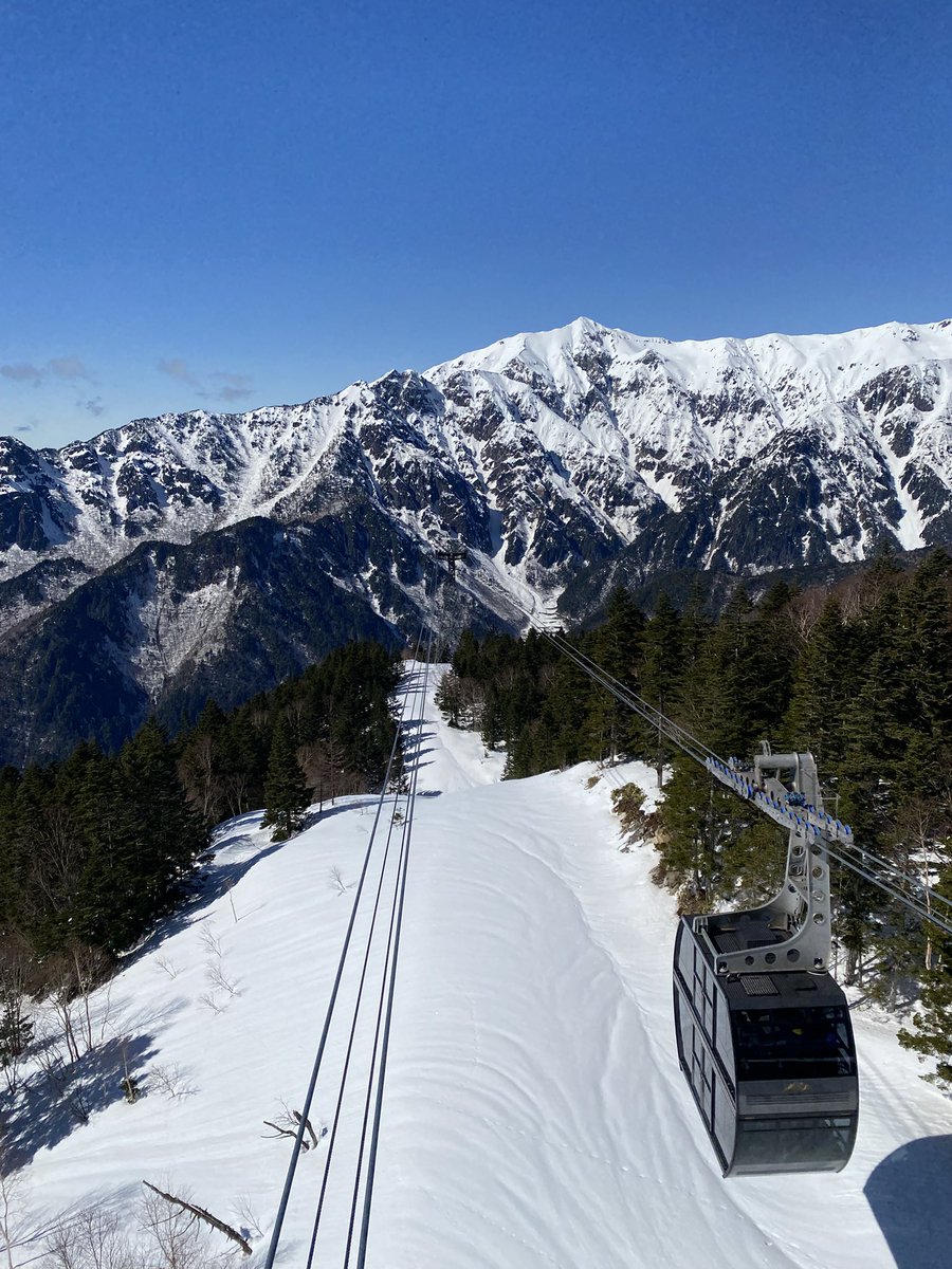 Sucorn Next Door (catschais) tweet media