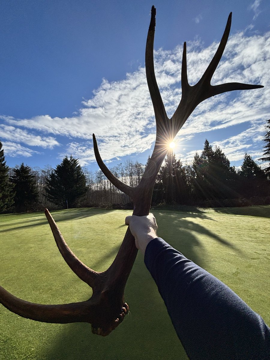 Pat Lethbridge tweet media