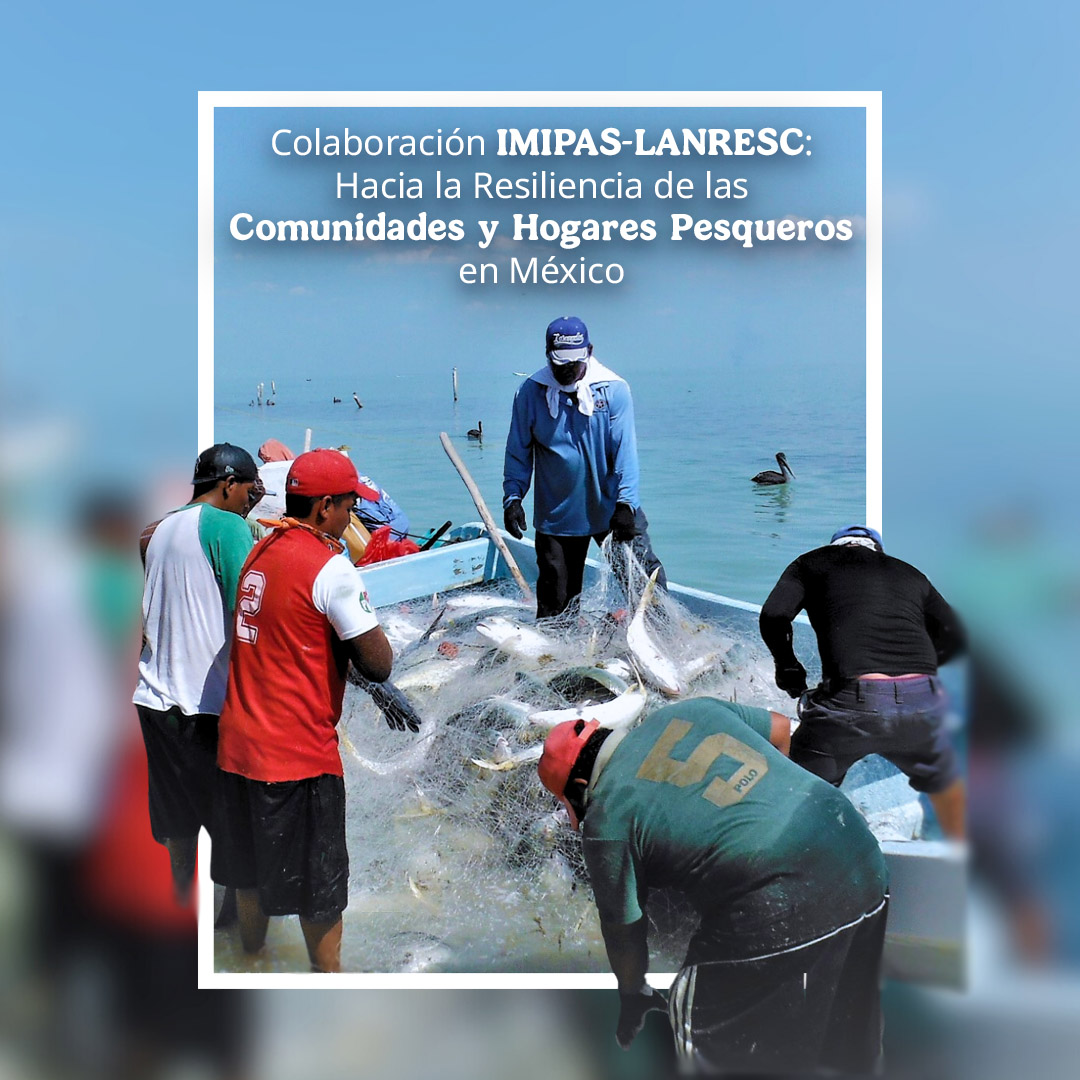 IMIPASmex's tweet photo. El Instituto Mexicano de Investigación en Pesca y Acuacultura Sustentables y LANRESC cumplen 4 años impulsando la resiliencia de comunidades pesqueras en México.
En 2026 fortaleceremos investigación y herramientas de manejo con enfoque socio-ecológico.
#IMIPAS #México #Lanresc https://t.co/WGsBPegGV5