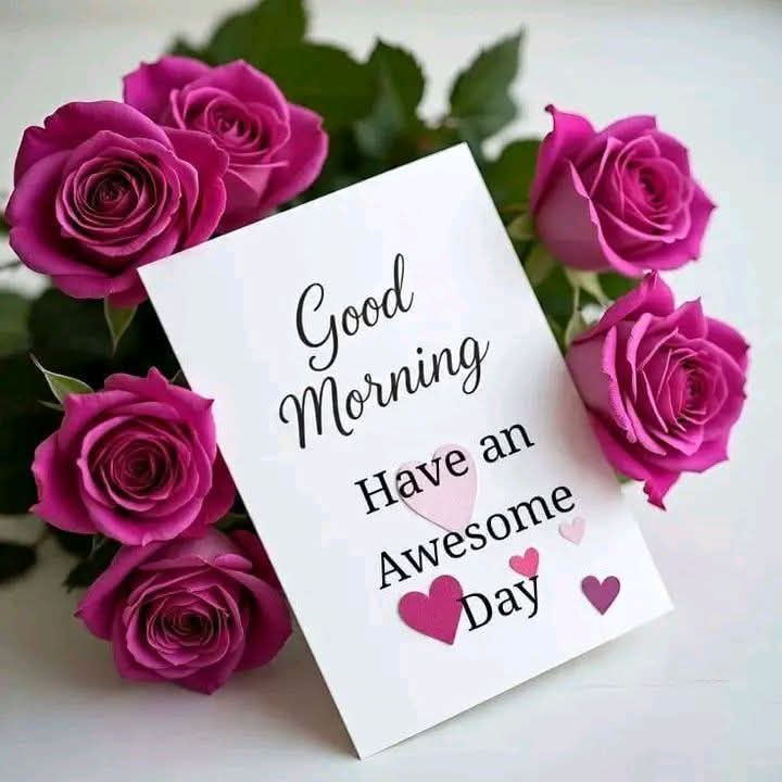 Good Morning 𝕏 

Who is Active, Now Fast Reply