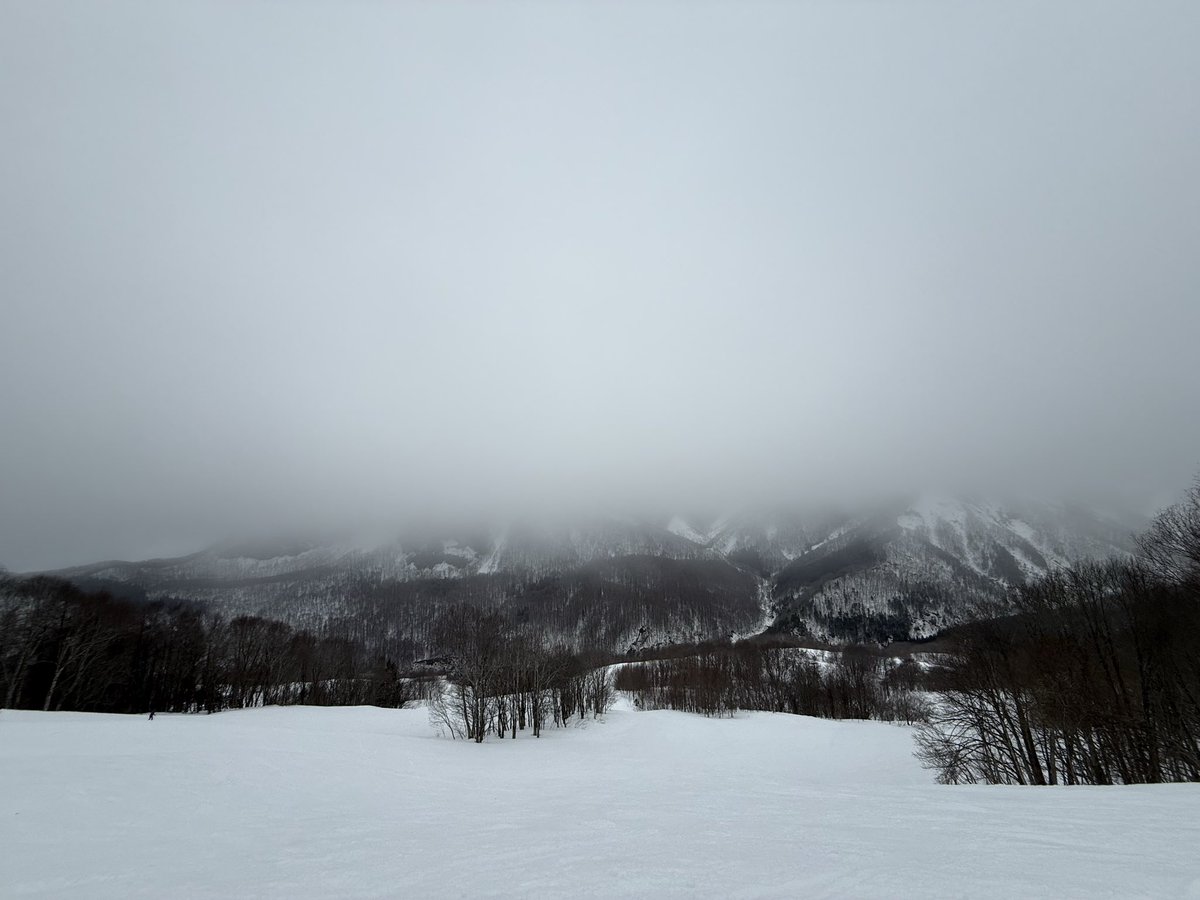 Kohei_abe_jp's tweet photo. ひっさびさのオフ！こんなど平日、友達誘ってもダメだったから、1人で夢中になると決めているw
40歳の膝に優しいシャバ雪で転んでも痛くない⛄️
自分にあった適切な環境で、適切なタイミングで、適切な段階を踏めば、きっとできるね！
シーズンオフまであと1ヶ月。3月末までに1440は無理だけど540回すんだ🏂
