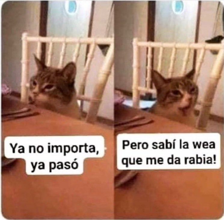 LXplot's tweet photo. #Viña2026 Estoy así en este momento.. https://t.co/iYDIrlST8x