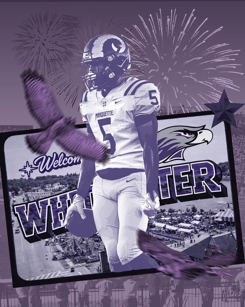 Tommy Novotny tweet media