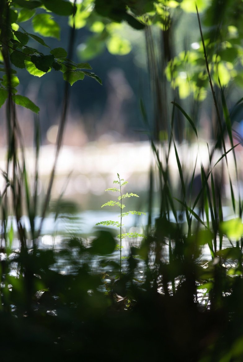 TheYieldMind Ⓜ️Ⓜ️T tweet media