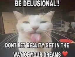 Cat TikToks tweet media