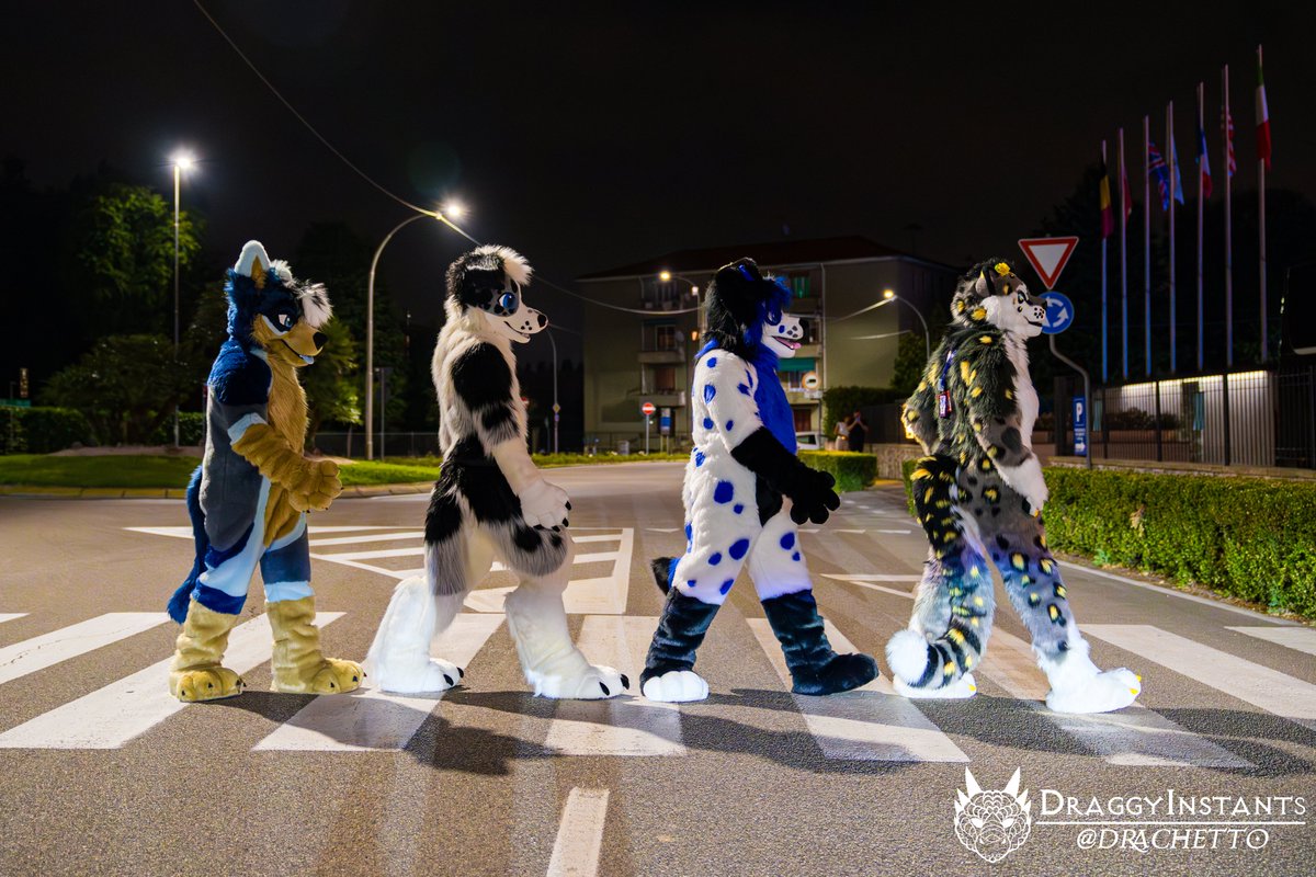 🇺🇦🇩🇪 AkoroSnep 🔜 FZ🇮🇹 East14🇩🇪 tweet media