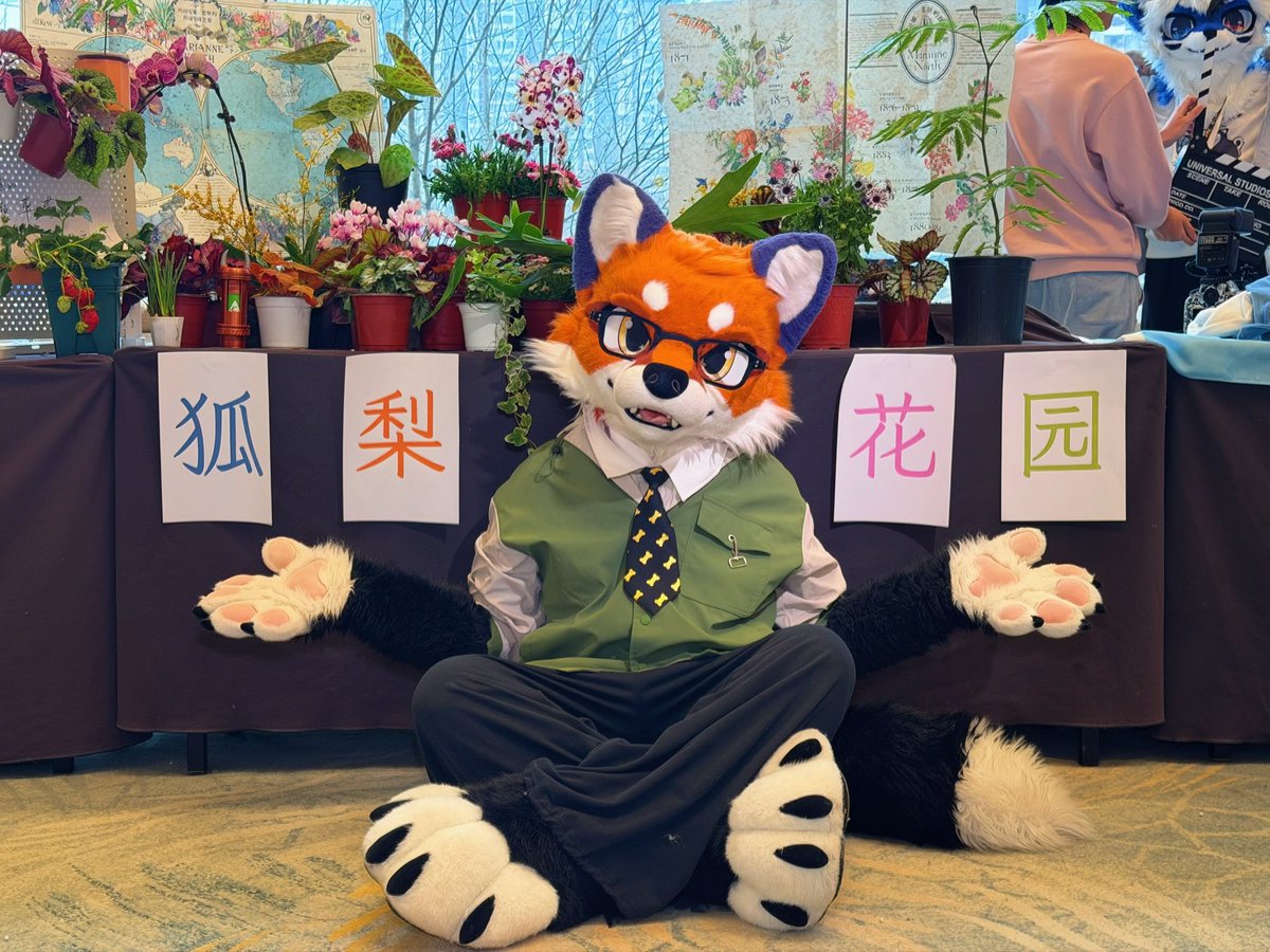 大坏狐狸 tweet media