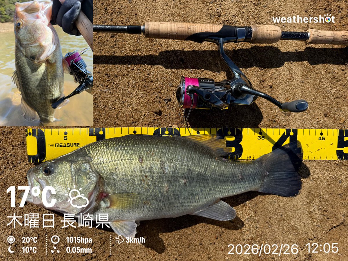 本日は2/26(木)🌼日本列島『春一番』到来🐟🔥 平日なので♪ちょこっと