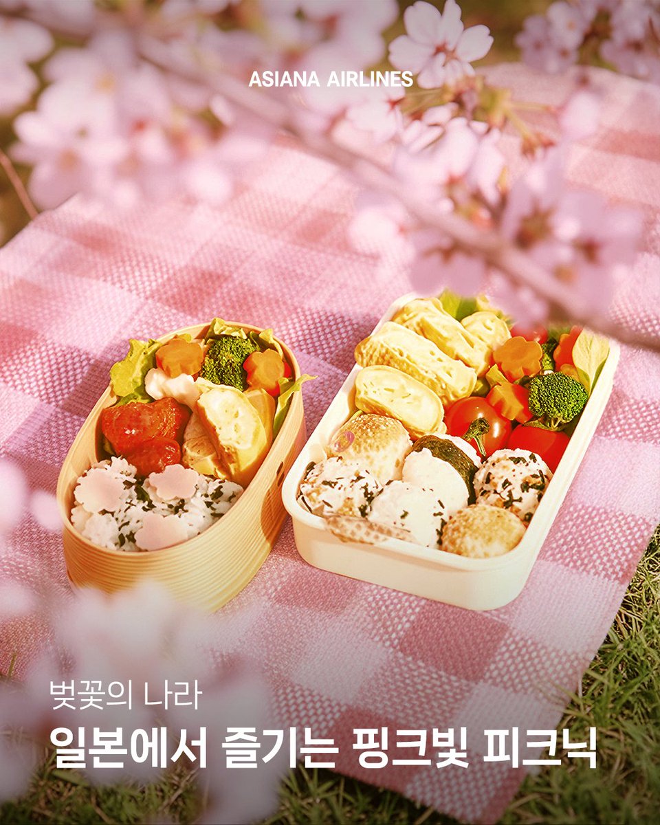 아시아나항공 AsianaAirlines tweet media