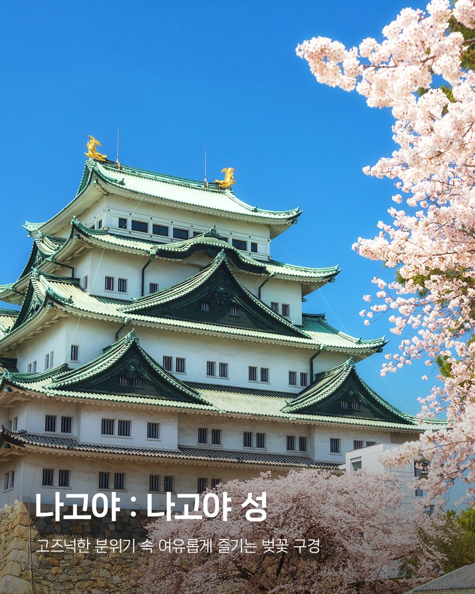 아시아나항공 AsianaAirlines tweet media