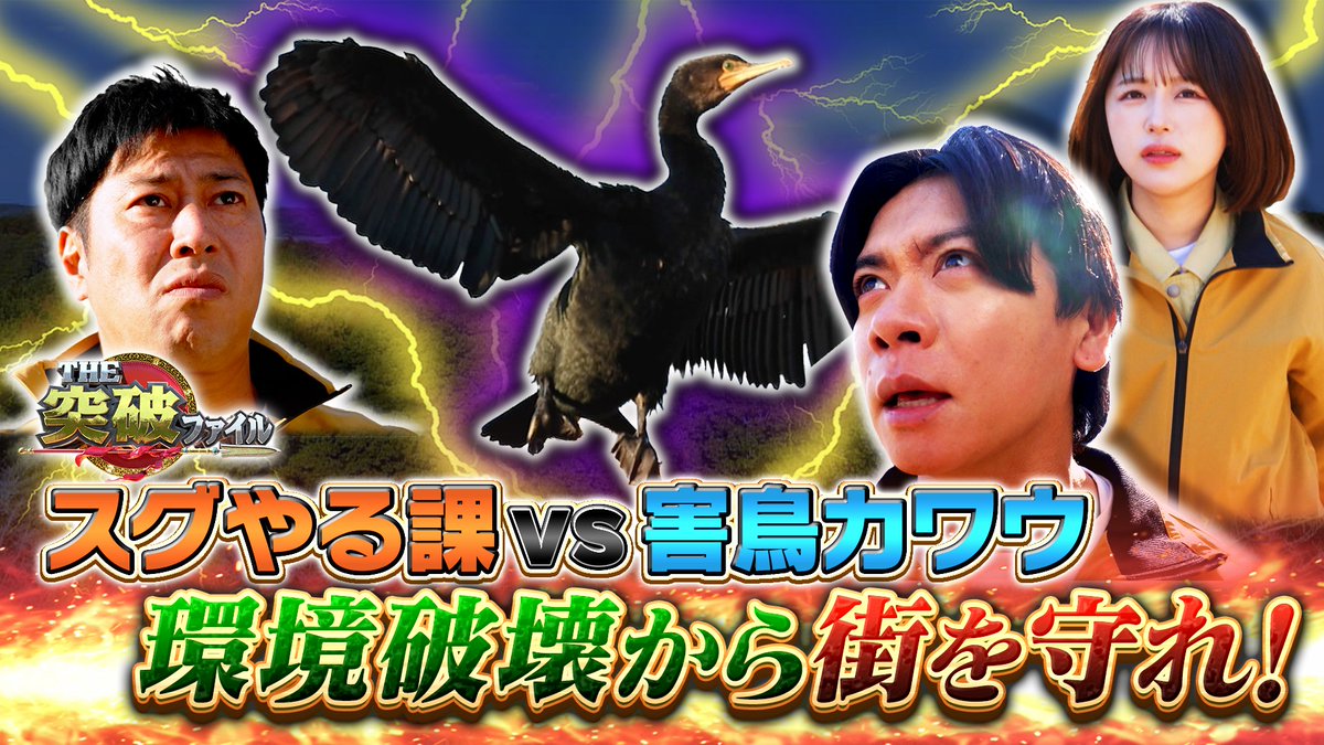 THE突破ファイル tweet media