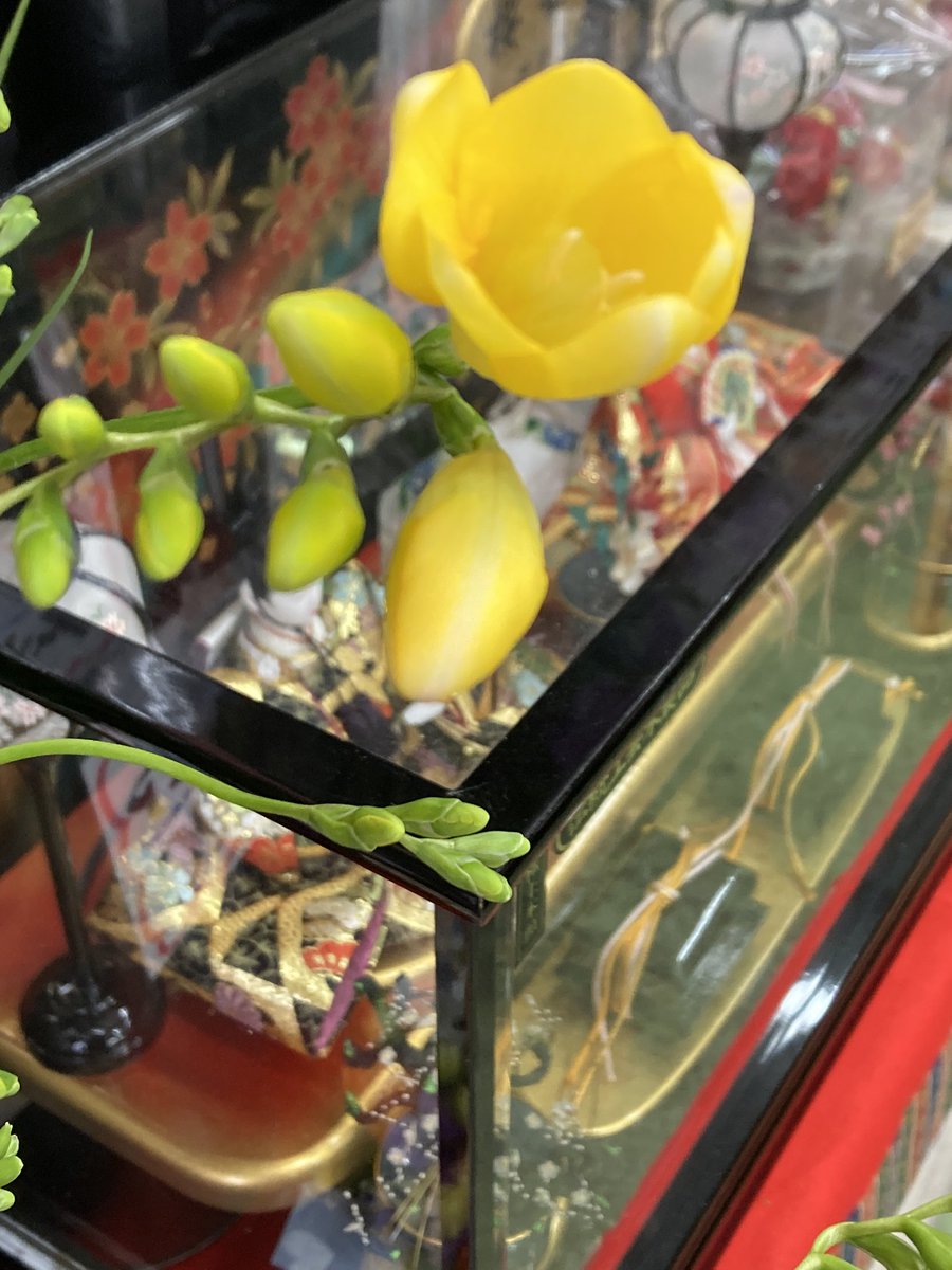 FS.リリラース tweet media