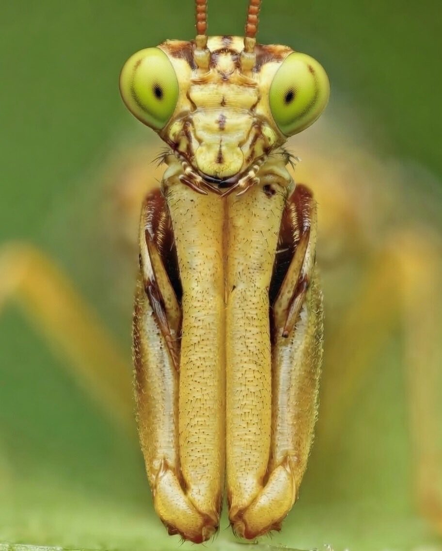 🧵🪡WovenInWisdom365🪡🧵 tweet media