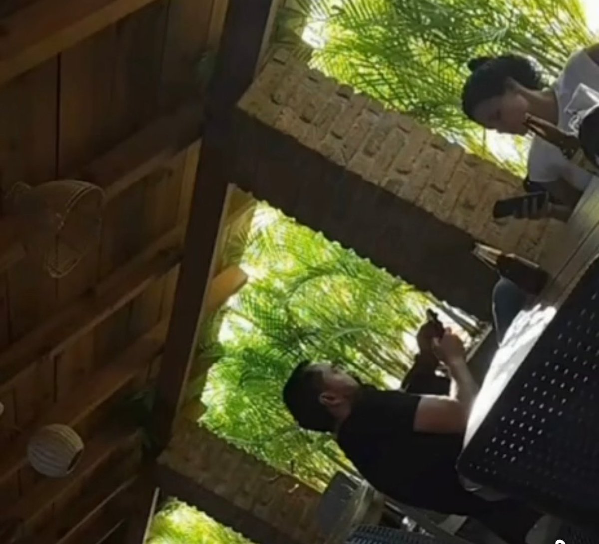 chumbert1's tweet photo. Difunden video de la Pdta.Nal. morena @LuisaAlcalde y el dip.@arturoavila_mx en el restaurante "La Granja" en Punta Diamante Acapulco.Según la publicación de Face menciona que fue cuando justo estaban los chingadazos en Jalisco-Michoacán.📹Mauricio Estrada https://t.co/nveLpvp0JX https://t.co/SglgTLVng8
