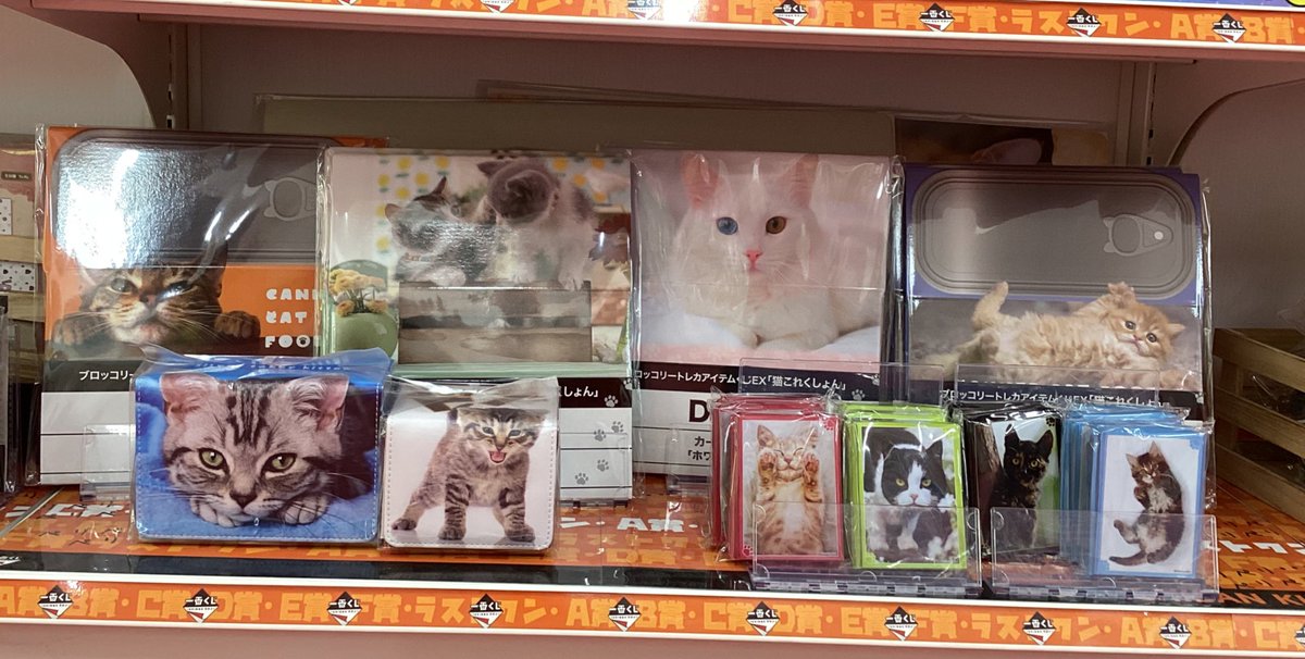 🍀︎くじ情報🍀︎ #トレカアイテムくじ 『🐱 #猫これくしょん🐱』 A賞