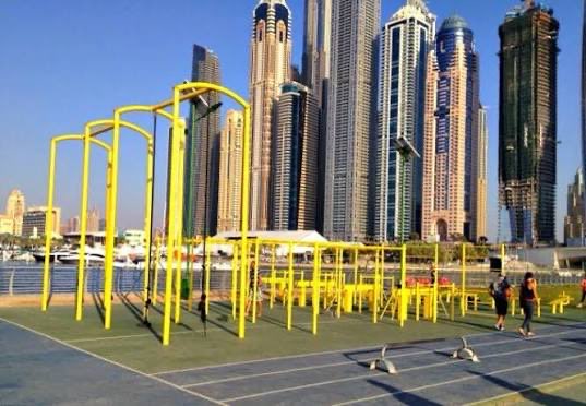 Anthony Diaz 🦁 tweet media