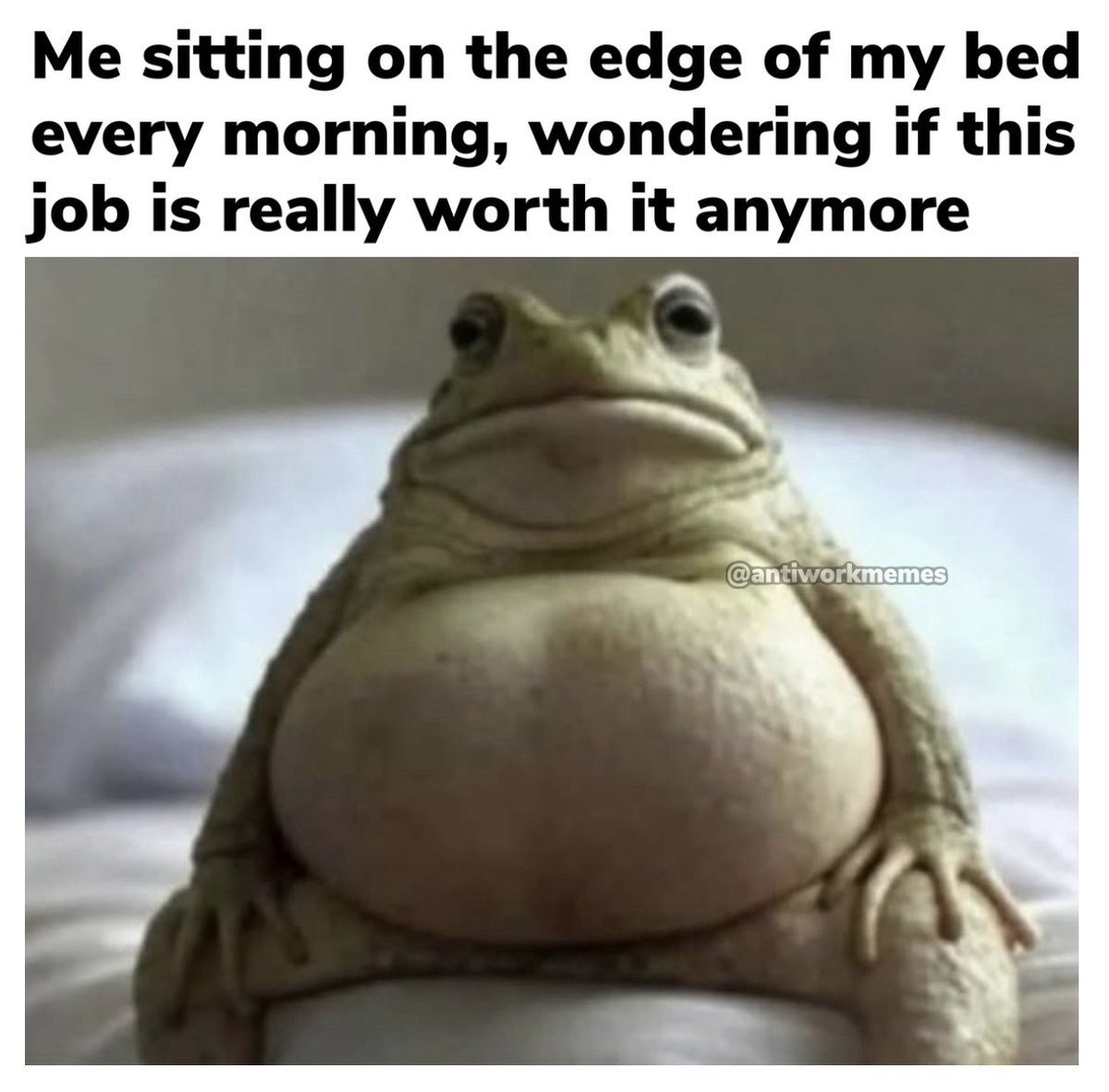 Work Memes tweet media