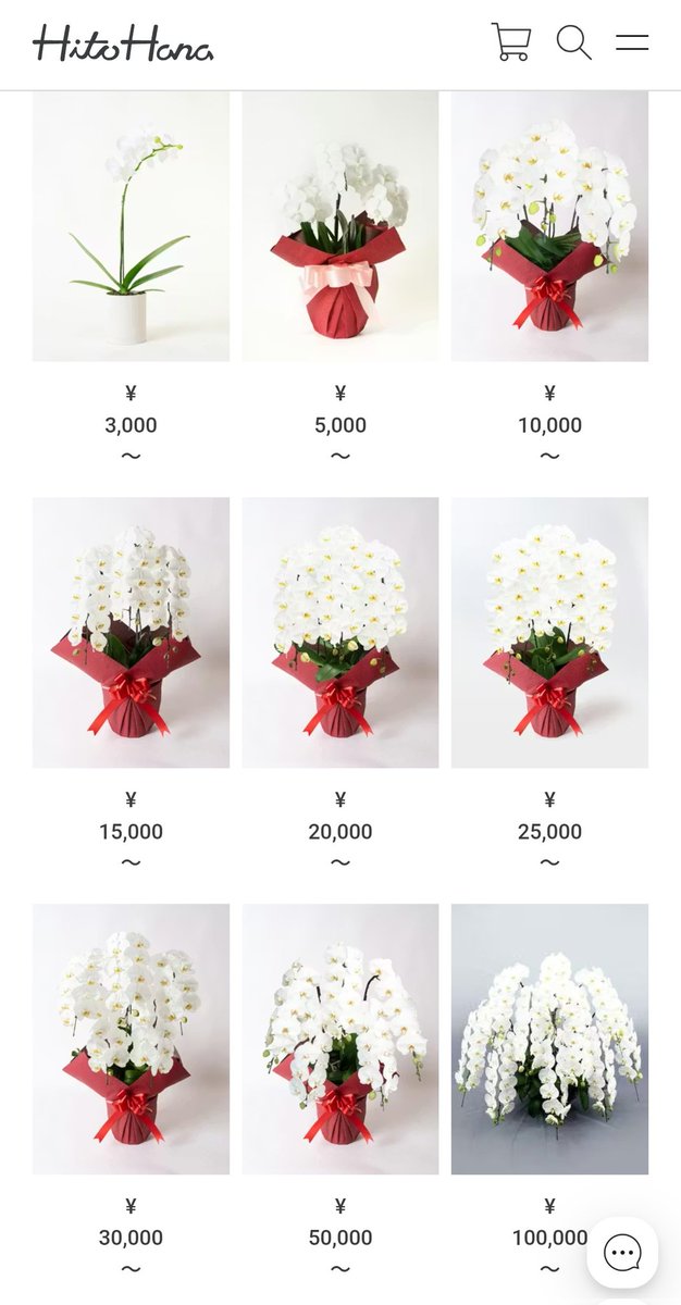 胡蝶蘭の相場、ピンキリでわからないけども、いずれの価格帯のものでも